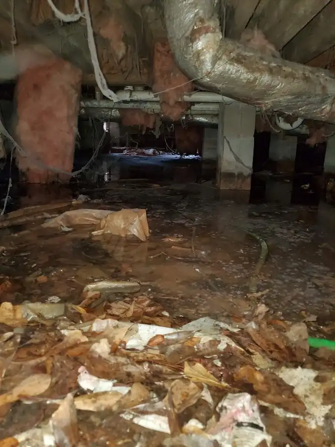 Crawl space flood assessment for Commercial Water Damage Restoration in Sarasota