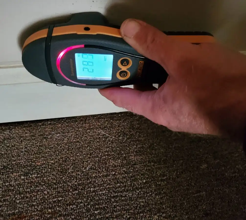 Moisture detection at baseboard during Mold Inspection & Testing in Sarasota